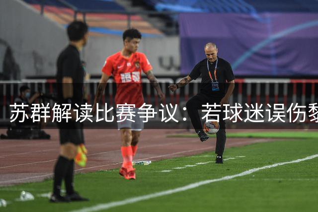 苏群解读比赛争议：若球迷误伤黎巴嫩球员将影响赛果